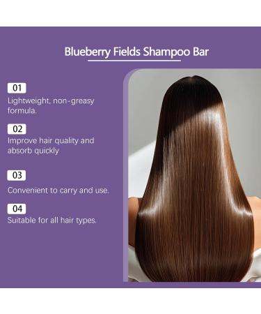 Lot de barres de shampooing et revitalisant la myrtille barres solides nettoyantes et hydratantes en profondeur formule naturelle pour un contr le plus fort des cheveux et des frisottis (1 Pcs) - Buy Online on GoSupps.com