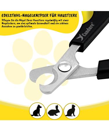 Candure Professional Claw Scissors for Dogs & Cats | High-Quality Nail Care with Safety Protection | Stainless Steel Claw Clippers & Files - Small (XS) Yellow - Buy Online on GoSupps.com