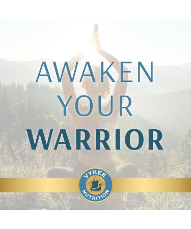 Vykee Nutrition Iron Supplement 36mg Iron (as Bisglycinate) | High Absorption Gentle On Stomachs | Vegan Non-GMO | Supports Energy Immune Health & Red Blood Cell Formation | 120 Capsules - Buy Online on GoSupps.com