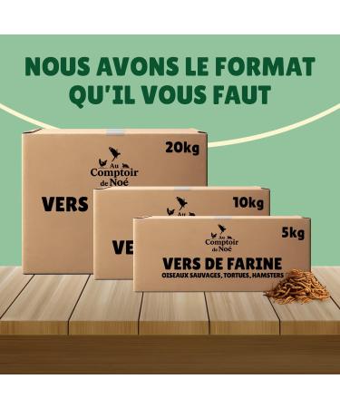 Dried Flour Worms 5 kg Au Comptoir de No 100% Natural Rich in Protein and Good Fats to Fat Flour - Buy Online on GoSupps.com