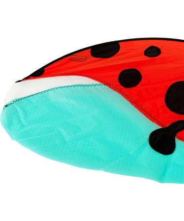 Buy Brookite 30038 Ladybug Kite - Colorful Multi-Colour Design for Kids | Fast International Shipping - Buy Online on GoSupps.com