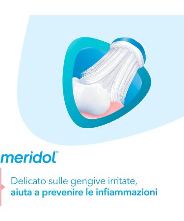 Compra Meridol Spazzolino Protezione Gengive - Setole Morbide Manico Ergonomico per Pulizia Delicata | Spedizione Internazionale - Buy Online on GoSupps.com