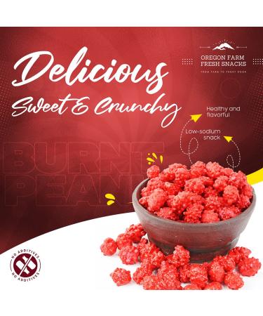 Oregon Farm Fresh French Burnt Peanuts - Sweet & Salty Crunchy Red Candy Snack 24oz - Buy Online on GoSupps.com