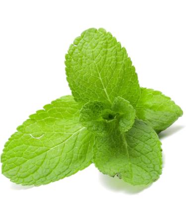 Summer Soles Ultra Absorbent Trim-to-Fit Insoles - 2 Pairs Stop Sweaty Feet with Natural Fragrances Adhesive Backing Black with Mint - Buy Online on GoSupps.com