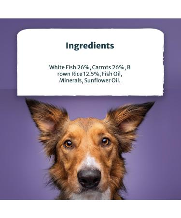 Burns Pet Natural Nutrition Adult and Senior Wet Dog Food - Wild Fish, Carrots, Organic Brown Rice - 12 x 150gm - Buy Online on GoSupps.com
