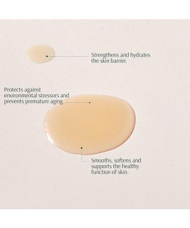 Tara Nourish Pure Argan Oil - Cruelty-Free Skin Hydration | Unscented Non-Comedogenic Paraben & Sulfate-Free (1.7 Fl Oz - Buy Online on GoSupps.com