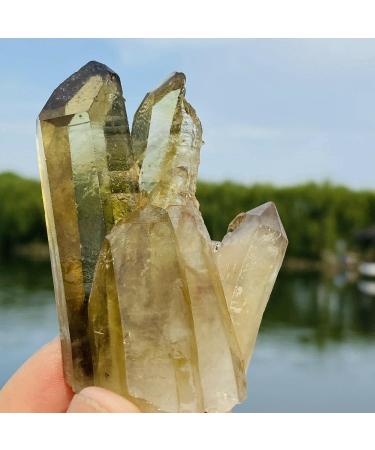 100G Natural Citrine Cluster Specimen Quartz Crystal Suitable for Home ERTEYIN - Buy Online on GoSupps.com