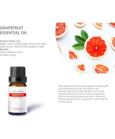 Citrus Essential Oil Set - Pack of 6 Pure Therapeutic Grade 10ml Oils | Lemon Grapefruit Sweet Orange Lime Bergamot & Petitgrain - Buy Online on GoSupps.com