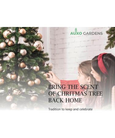 Pine Needle Essential Oil 1oz (30ml) -100% Natural and Pure Premium Quality Therapeutic Grade Essential Oil for Aromatherapy-Crisp Refreshing and Uplifting Pine Needle 1 Fl Oz (Pack of 1) - Buy Online on GoSupps.com