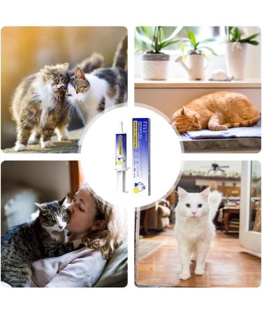 Cat Hairball Paste | Cat Nutritional Gel Anti Hairball Control Supplement Natural and Effective Hairball Gel for Healthy Tissue Kitten and Cats 60ml - Buy Online on GoSupps.com