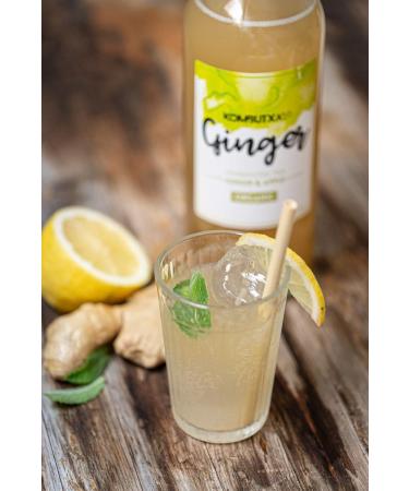 ECOLOGICAL DRINK KOMBUTXA TE KOMBUCHA - 6 bottles 750ml Organic fermented tea ecological energy fat burning without added sug - Buy Online on GoSupps.com