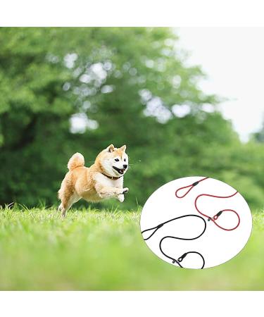 Avodova 2-Piece Adjustable Dog Leash Set | 1.3m Braided Nylon Leash for Small & Medium Dogs | Durable Training Tow Lines - Buy Online on GoSupps.com