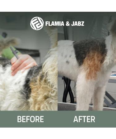 FLAMIA & JABZ Wire Strippers for Dogs Cats & Pets - 8mm Metal Stripping Tool for Easy Use - Buy Online on GoSupps.com