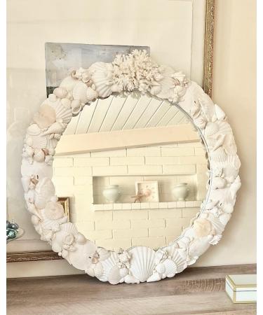 Small White Clam Seashells - Pack of 1 | Natural DIY Craft and Home Decor Vase Fillers - Buy Online on GoSupps.com