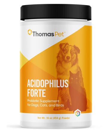 Thomas Labs Acidophilus Forte Digestive Powder, 16-Ounce