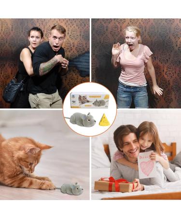 SCOOLR Remote Control Rat Toys Wireless Infrared RC Control Realistic Mouse Toy For Cat Kitten Dog Pet Novelty Gift For Kids Children Halloween Christmas Party Birthday Gifts (Gray) - Buy Online on GoSupps.com
