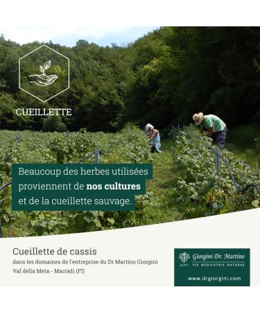 Dr. Giorgini Boldo Complete Extract 200 ml - Buy Online on GoSupps.com