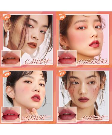  rongweiwang Waterproof matte lip stain sweat-proof smudge-proof dual-use travel-friendly travel-sized cosmetic lip makeup Type 11 - Buy Online on GoSupps.com