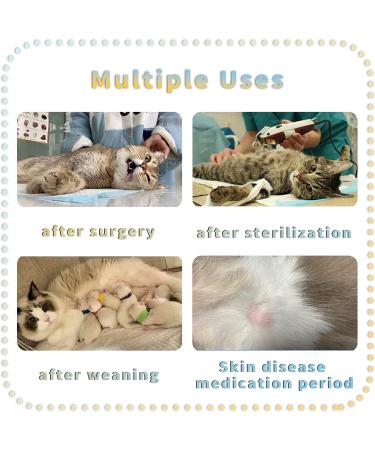 CLLRYBO Katzenbody | Professional Recovery Suit for Cats & Dogs | Anti-Trim Clothing After Surgery | Dinosaur Style | Abdominal Wounds & Skin Diseases - Buy Online on GoSupps.com