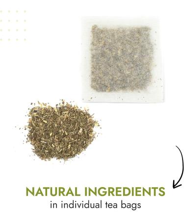  Alpi Nature Alpi Nature Dandelion Leaves Herbal Tea 120 Tea Bags 150 g Pack of 6 x 20 Bags of 1 g - Buy Online on GoSupps.com