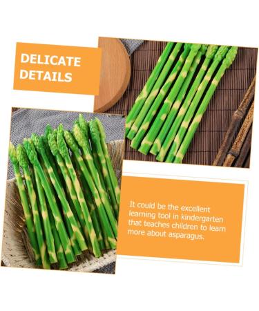 HOMSFOU 50 Pcs Simulated Asparagus Ornaments Fake Vegetables Asparagus Decor Fake Plastic Lifelike Vegetables Faux Asparagus Fern Plastic Vegetables Model Fake Food Model Sample Pvc Plant Light Greenx5pcs 19X0.9CMx5pcs - Buy Online on GoSupps.com