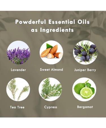 Redmint Acne Clear Facial Essential Oils | Made with 100% Organic TCM Herbal Ingredients Skincare |Natural Tried &True Acne Face Oil | Anti Acne Serum for Face to Skin Radiance| 20ml - Buy Online on GoSupps.com