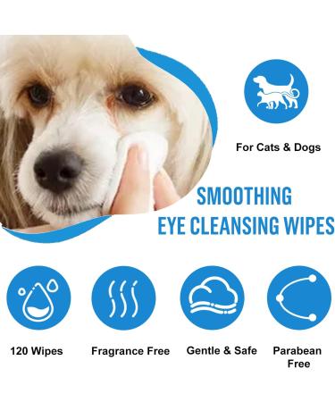 Dog Eye Wipes 120 Count - Gentle Dog Eye Cleaner Wipes Tear Stain Remover for White Dogs - Pet Eye Cleaning Wipes for Dogs Cats Puppy - Dog Eye Wipes for Discharge and Crust - Buy Online on GoSupps.com