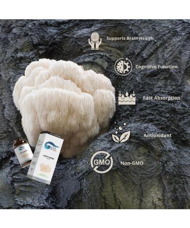 Shilajit & Lion's Mane Cognitive Power Bundle | Boost Brain Health & Focus - International Shipping - Buy Online on GoSupps.com