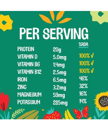 EarthChamp Vegan Protein Powder (2kg) - Plant Based Chocolate Shake - 56 Servings - Dairy & Lactose Free - Wyldsson - Choc 2 kg - Buy Online on GoSupps.com