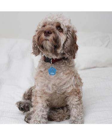 Personalized Light Blue Engraved Dog Tag Paw 33mm | Custom Engraving & 2 Key Rings - Buy Online on GoSupps.com