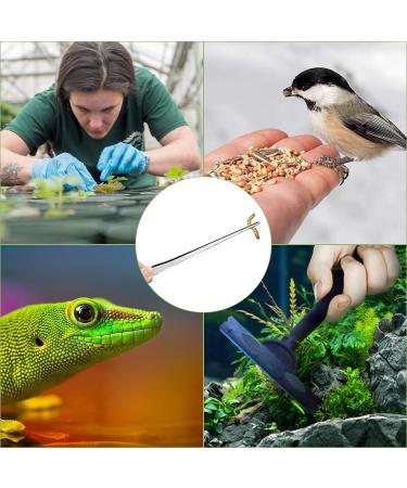 1PC Aquarium Tank Tweezers Reptile Feeding Tool tainless Steel Aquarium Straight Tweezers Tongs for Cleaning Dead and Excess Plants Positioning Ornaments and Feeding - Buy Online on GoSupps.com