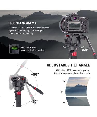 Avella CD324 Carbon Fiber Video Monopod Kit with Fluid Head | 71 Inch | 13.2 LB Max Load | For Canon Nikon Sony Olympus Panasonic DSLR Camera - Buy Online on GoSupps.com