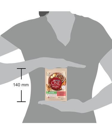 PURINA ONE Mini/S Active Wet Food for Small Dogs Rich in Beef and Vegetables 26 x 85 g 26 Cans - Buy Online on GoSupps.com