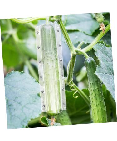 POPETPOP 4pcs Shaped Growth Mold Ginseng Transparent Fruit Shaping Mold Acrylic Small Fruit Vegetable - Buy Online on GoSupps.com
