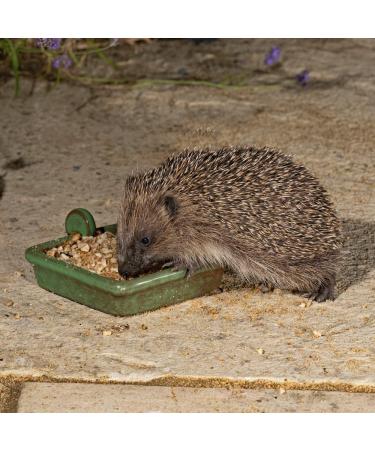 Hedgehog Food 2kg - Jacobi Jayne I Love Hedgehogs - Nutritious Semi-Moist Blend for Garden Adults & Baby Hedgehogs - Rich in Taste and Healthy for Bones and Teeth - Buy Online on GoSupps.com