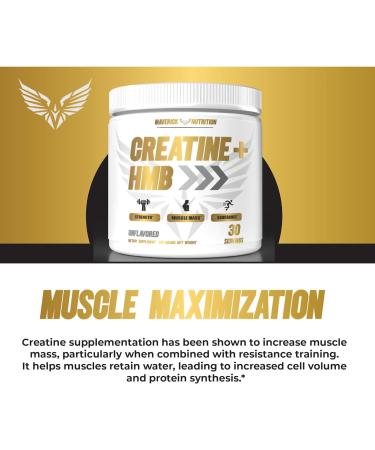 Creatine HMB - Creatine Powder for Men - Creatine Powder - Creatine Supplement - Creatine for Men - HMB Creatine - Creatine - Creatine Monohydrate - 30 Servings - Unflavored (Creatine + HMB) - Buy Online on GoSupps.com