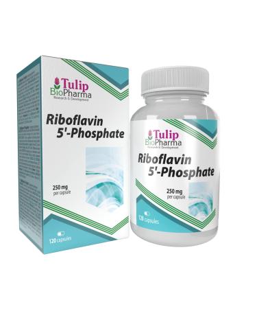 Tulip BioPharma Vitamin B2 (Riboflavin 5'-Phosphate) 250mg 120 Capsules 3rd Party Lab Tested High Strength Supplement Gluten and GMO Free