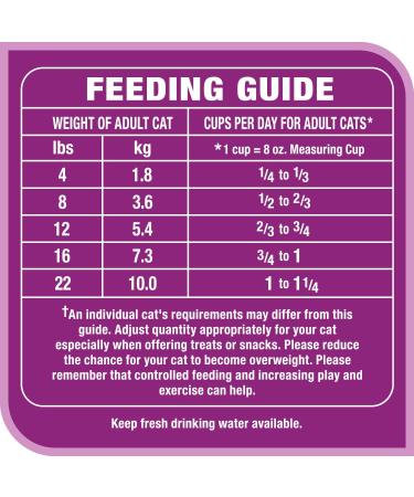 Whiskas Beef Selections Adult Dry Cat Food Natural Beef Flavour 4kg Bag - Buy Online on GoSupps.com