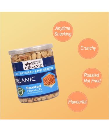 Blessfull Healing Organic Natural Vegan Tandoori Roasted Peanuts Crunchy Healthy Snacks 250 Gram - Buy Online on GoSupps.com