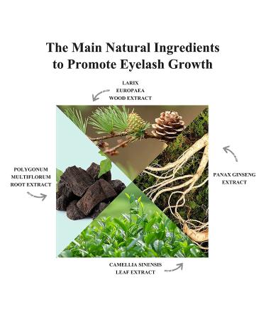BREYLEE Eyelash Growth Serum for Thicker Brows | 3ML/0.1 Fl. Oz | Fuller and Faster Results - Buy Online on GoSupps.com