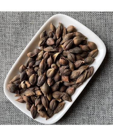 Forsythia Fructus Forsythiae golden Bell Forsythia Fruit Forsythia Suspensa lianqiao Forsythia Suspensa Vahl the Fructus Forsythiae Forsythia SuspensaVahl the Forsythia (8 oz) - Buy Online on GoSupps.com