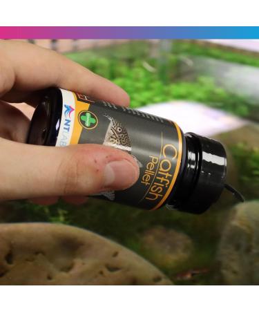 bubbacare NT Labs Pro-F Catfish Pellet 60g - Buy Online on GoSupps.com