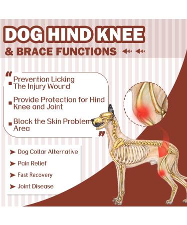 Hjyokuso Recovery Suit for Dogs - XXL Brown | Surgery Suit & Licking Protection for Hind Legs & Elbows - Buy Online on GoSupps.com