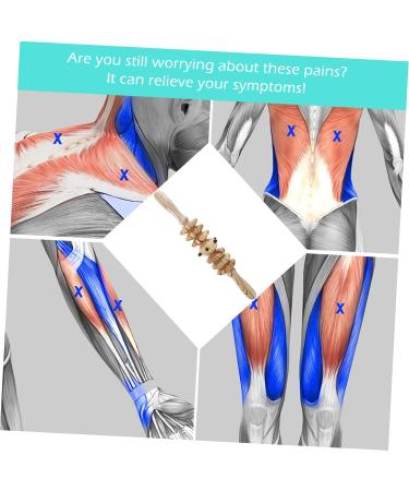 Buy Healeved 1 STK Siebenrad Trigger Point Massage Device - Multifunctional Muscle Roller for Ultimate Fitness Relief - Buy Online on GoSupps.com