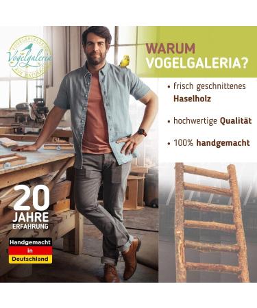 Great Bird Ladder Made of Natural Wood | Glue-Free Wellening Toy for Budgies Nymphics and Canaries | International Shipping Available - Buy Online on GoSupps.com