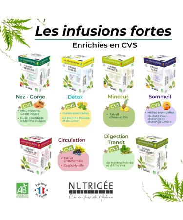 NUTRIGEE - Organic Chamomile Flower Herbal Tea - Relieves Nervous Agitation & Minor Sleep Disorders - Soluble Plant Concentrates - Small Grain & Orange Essential Oil - 20 Sachets - Buy Online on GoSupps.com