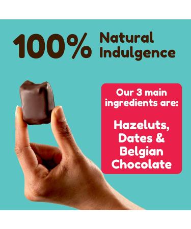 Vive High Fibre Hazelnut Protein Bites - Gluten Free Vegan Snacks - Dark Chocolate Coated - 6 x 20g Mini Bars - 6 Count - Buy Online on GoSupps.com