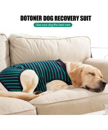 Wound Protective Coat for Dogs & Cats | Abdominal Surgery Vest | Postoperative Medical Clothing for Pets (Size S Green) - Buy Online on GoSupps.com