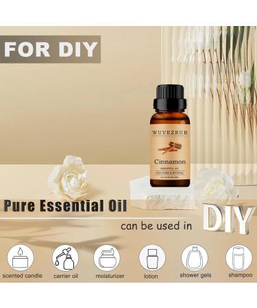 100% Pure and Natural Cinnamon Essential Oil - 10ML Aromatherapy Diffuser - 0.33 Fl Oz Cinnamon 0.33 Fl Oz (Pack of 1) - Buy Online on GoSupps.com
