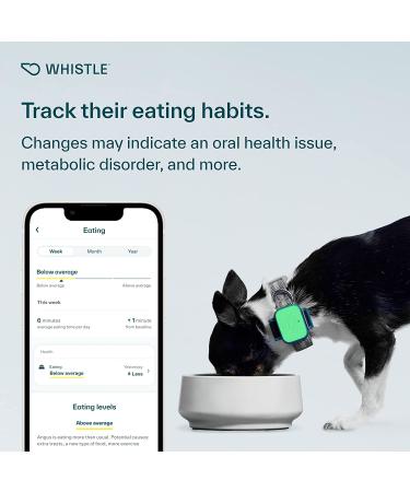 Whistle Health Smart Device for Dogs | Fitness & Activity Tracker - Green - Buy Online on GoSupps.com